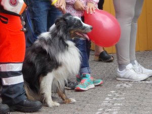 -2DSCN0171.jpg -2DSCN0171.jpg