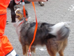 -2DSCN0174.jpg -2DSCN0174.jpg