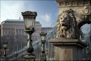 026 -Budapest 2018.jpg 026 -Budapest 2018.jpg