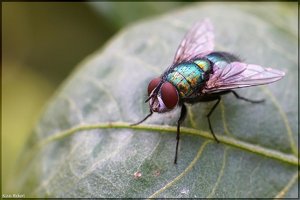 Bild - 1.jpg Bild - 1.jpg