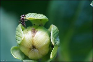 Bild - 2.jpg Bild - 2.jpg