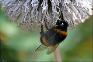 Bild - 4.jpg Bild - 4.jpg