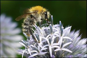 Bild - 28.jpg Bild - 28.jpg