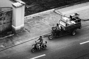 500k_SAM_7309-sw.jpg 500k_SAM_7309-sw.jpg