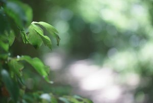 BILDERFORUM__DSC9193.jpg BILDERFORUM__DSC9193.jpg