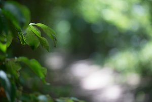 BILDERFORUM__DSC9194.jpg BILDERFORUM__DSC9194.jpg