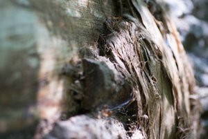 BILDERFORUM__DSC9205-f4.jpg BILDERFORUM__DSC9205-f4.jpg