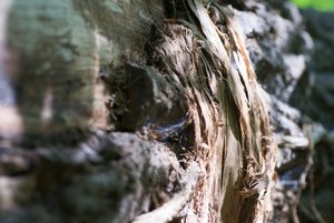 BILDERFORUM__DSC9211-f5.6.jpg BILDERFORUM__DSC9211-f5.6.jpg