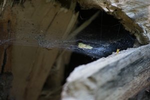 BILDERFORUM__DSC9198-f4.jpg BILDERFORUM__DSC9198-f4.jpg