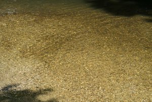 BILDERFORUM__DSC9212-f8.jpg BILDERFORUM__DSC9212-f8.jpg