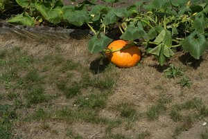 BILDERFORUM__DSC9241-f5.6.jpg BILDERFORUM__DSC9241-f5.6.jpg