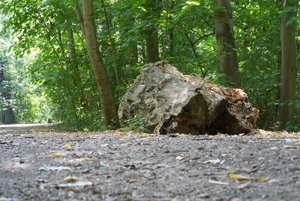 BILDERFORUM__DSC9225-f20.jpg BILDERFORUM__DSC9225-f20.jpg