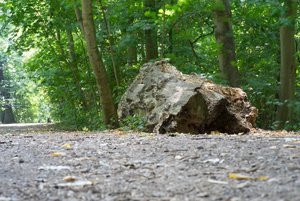 BILDERFORUM__DSC9228-f16.jpg BILDERFORUM__DSC9228-f16.jpg