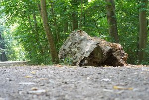 BILDERFORUM__DSC9229-f11.jpg BILDERFORUM__DSC9229-f11.jpg