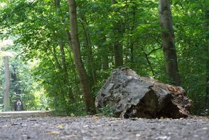 BILDERFORUM__DSC9237-f11.jpg BILDERFORUM__DSC9237-f11.jpg