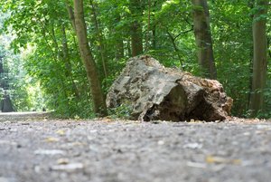 BILDERFORUM__DSC9230-f8.jpg BILDERFORUM__DSC9230-f8.jpg