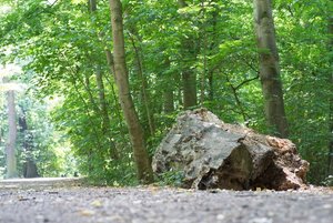 BILDERFORUM__DSC9235-f8.jpg BILDERFORUM__DSC9235-f8.jpg