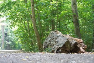 BILDERFORUM__DSC9238-f8.jpg BILDERFORUM__DSC9238-f8.jpg