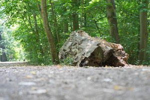 BILDERFORUM__DSC9231-f5.6.jpg BILDERFORUM__DSC9231-f5.6.jpg