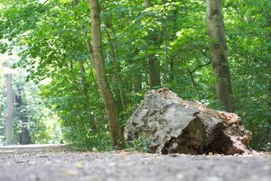 BILDERFORUM__DSC9234-f5.6.jpg BILDERFORUM__DSC9234-f5.6.jpg