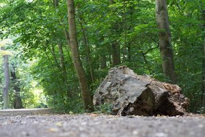 BILDERFORUM__DSC9239-f5.6.jpg BILDERFORUM__DSC9239-f5.6.jpg