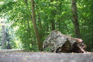 BILDERFORUM__DSC9233-f2.8.jpg BILDERFORUM__DSC9233-f2.8.jpg