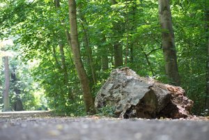 BILDERFORUM__DSC9240-f2.8.jpg BILDERFORUM__DSC9240-f2.8.jpg