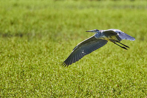 compr_IMG_9300.jpg compr_IMG_9300.jpg