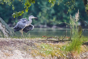 compr_IMG_5584_2.jpg compr_IMG_5584_2.jpg