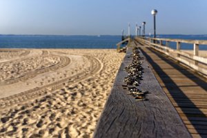 Bild 06.08.18 um 17.24.jpg