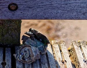 Bild 06.08.18 um 17.50.jpg