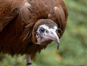 P1600644_SHARPEN projects.jpg