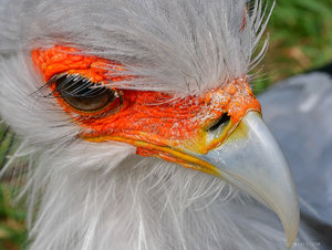 P1600999_SHARPEN projects.jpg