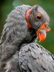 P1600744_SHARPEN projects.jpg