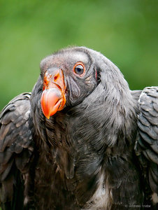 P1600781_SHARPEN projects.jpg