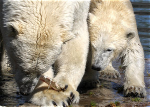 Zoom 8-18- Bild 16.jpg