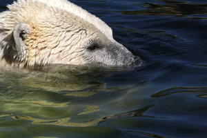 Zoom 8-18- Bild 2.jpg