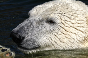 Zoom 8-18- Bild 18.jpg