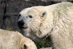 Zoom 8-18- Bild 3.jpg