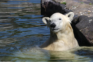 Zoom 8-18- Bild 9.jpg