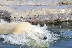 Zoom 8-18- Bild 4.jpg