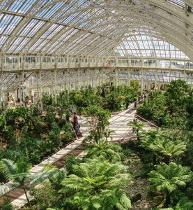 comp_P1060331-333.jpg comp_P1060331-333.jpg