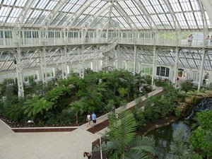 comp_P1060335.jpg comp_P1060335.jpg