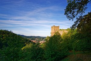 Bild 26.08.18 um 11.19.jpg