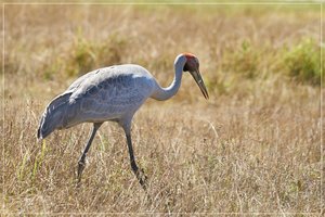 1500_Frame_7R200799.jpg 1500_Frame_7R200799.jpg