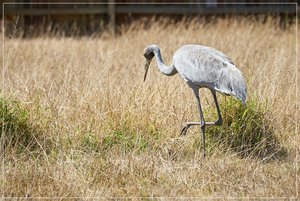 1500_Frame_7R200803.jpg 1500_Frame_7R200803.jpg