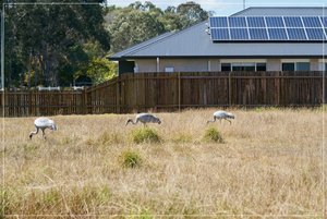 1500_Frame_7R200806.jpg 1500_Frame_7R200806.jpg