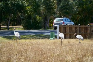 1500_Frame_7R200818.jpg 1500_Frame_7R200818.jpg