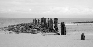 comp_IMG_1158sw.jpg comp_IMG_1158sw.jpg