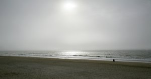 comp_IMG_1202.jpg comp_IMG_1202.jpg